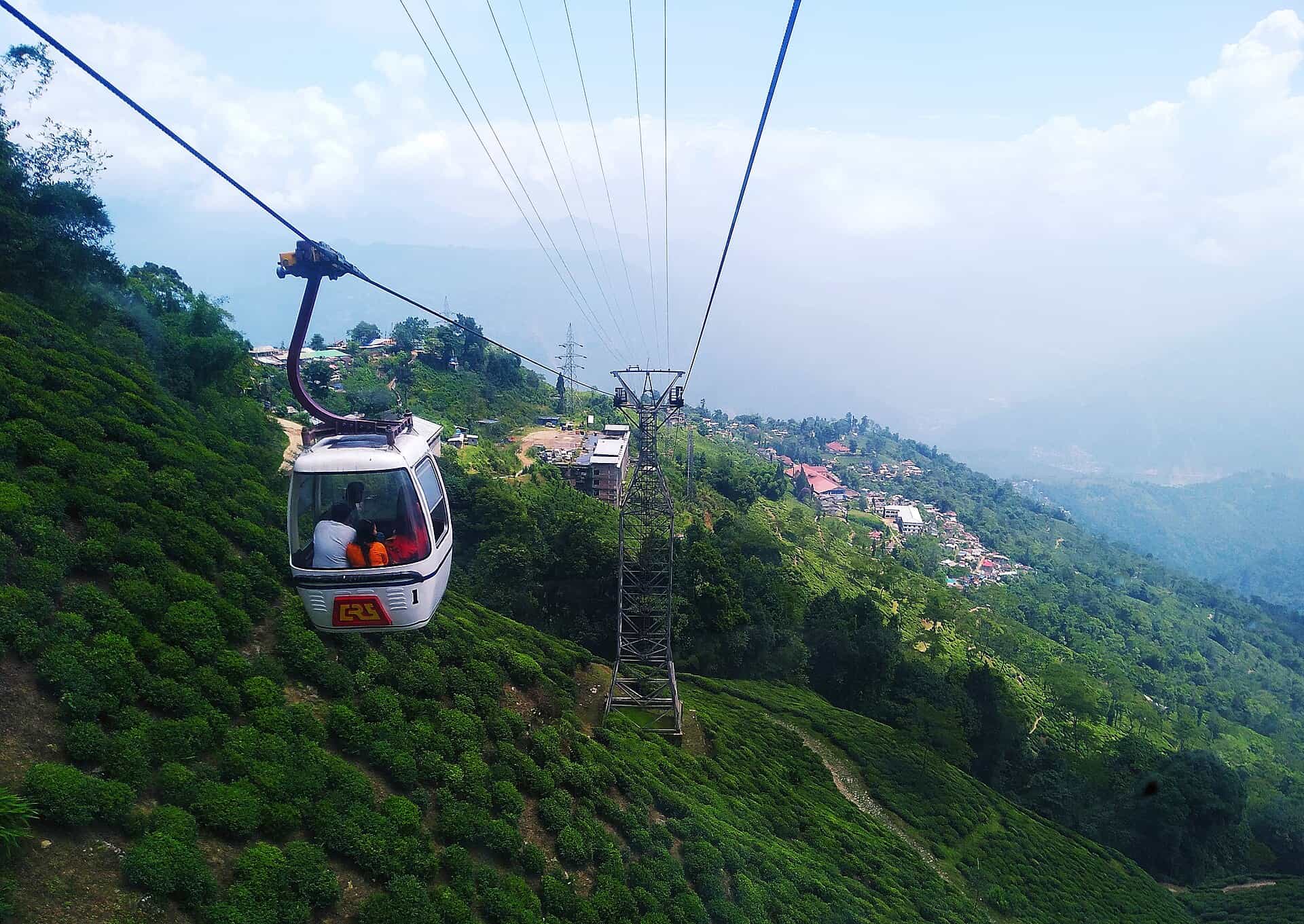 Zip Line