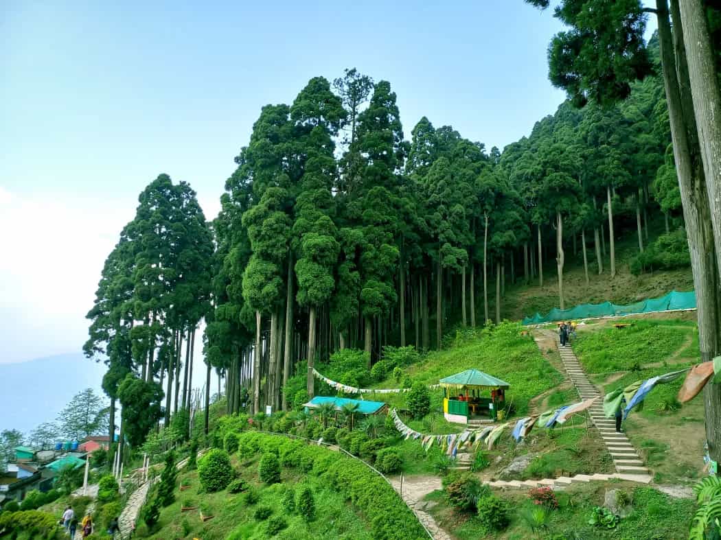 Darjeeling Offbeat Escape – 2 Nights / 3 Days