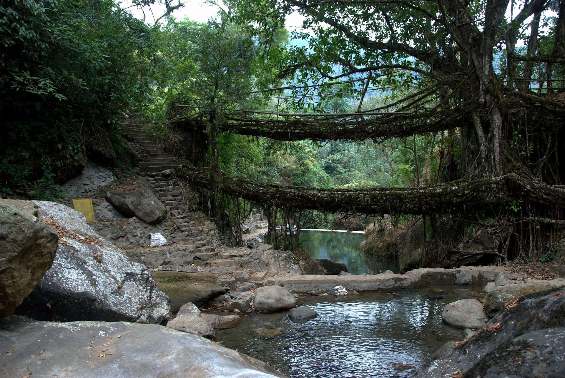 Meghalaya Hills & Hidden Gems – 4N5D