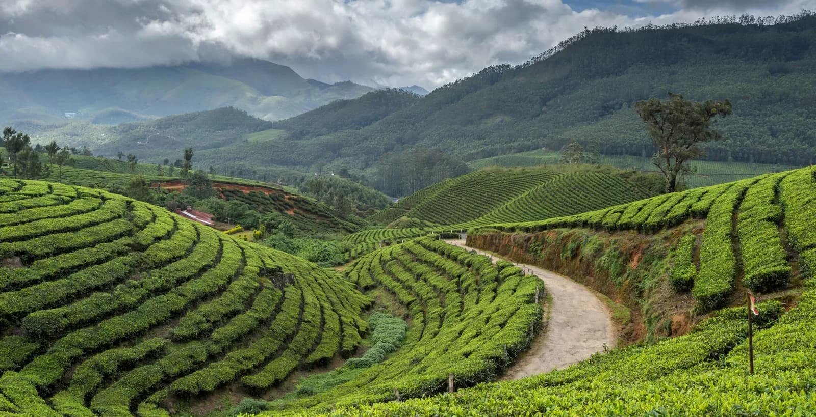 Sikkim travel landscape