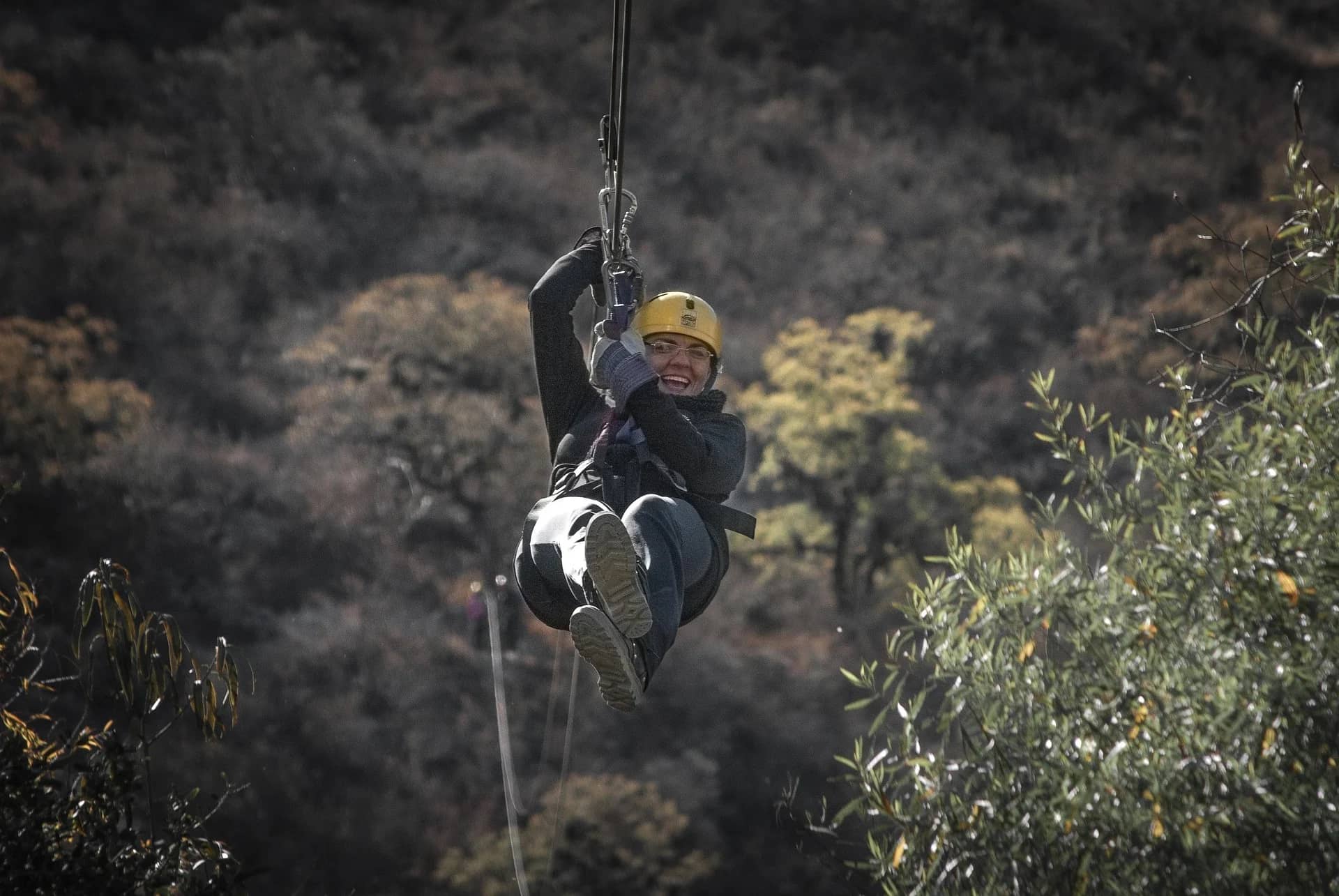 Zip Line