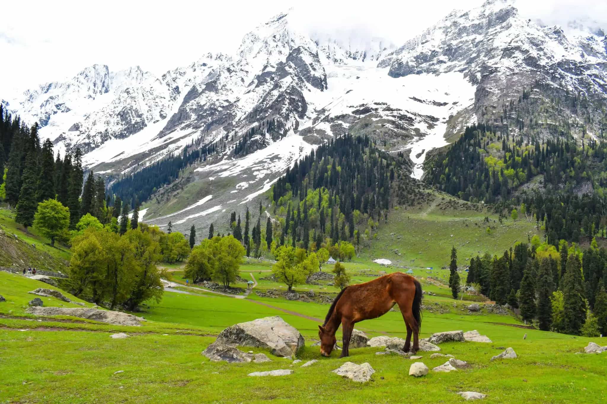Kashmir Valley Escape: Katra, Gulmarg & Pahalgam – 6N7D